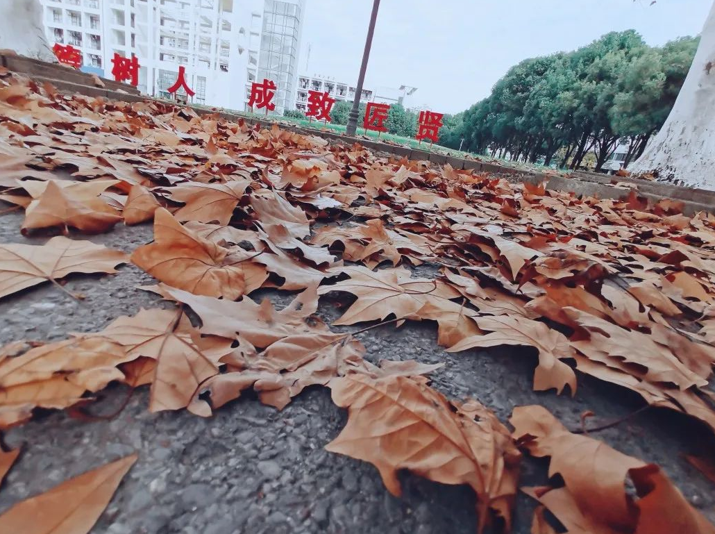 1661827086573533.png image.png